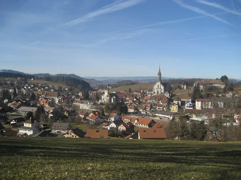 Le bourg de Châtel-Saint-Denis et ses toits, vus depuis la campagne